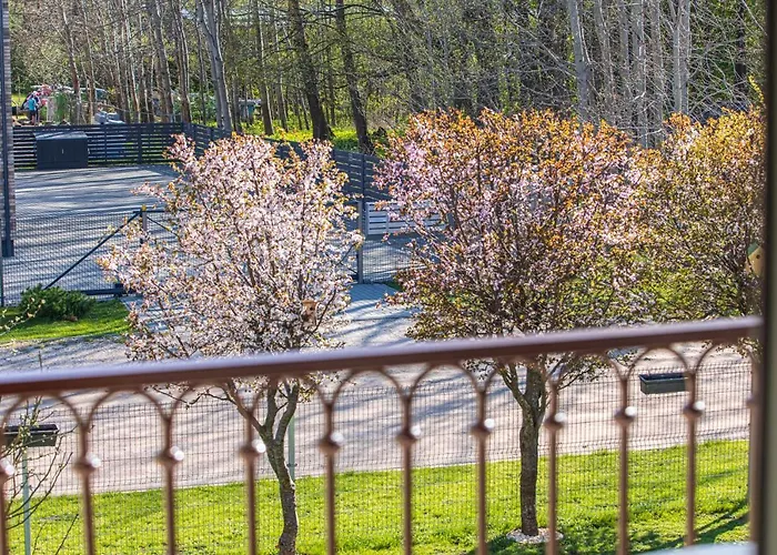 Sakura_inn 帕兰加